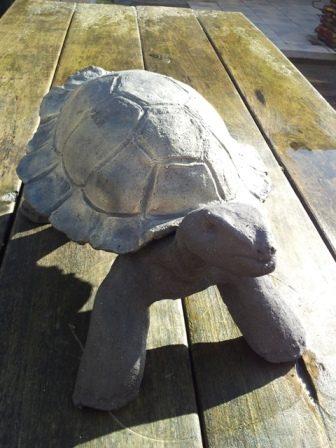 091 Schildpad groot
